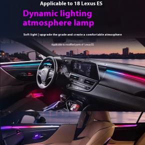 Lexus ambient light