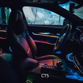 Cadillac ambient light